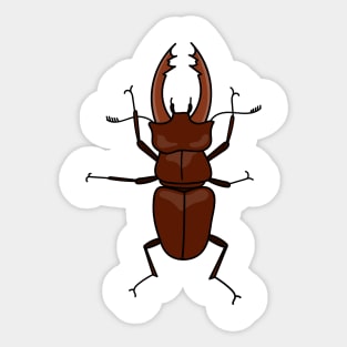 Stag Beetle. Insect lovers Sticker